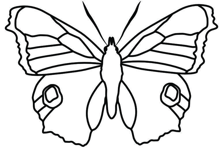 Ausmalbild Schmetterling kostenlos Tagpfauenauge
