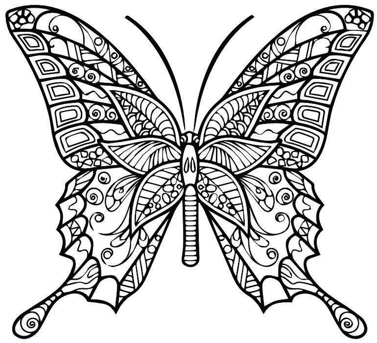 Ausmalbilder Schmetterling Mandala für Erwachsene