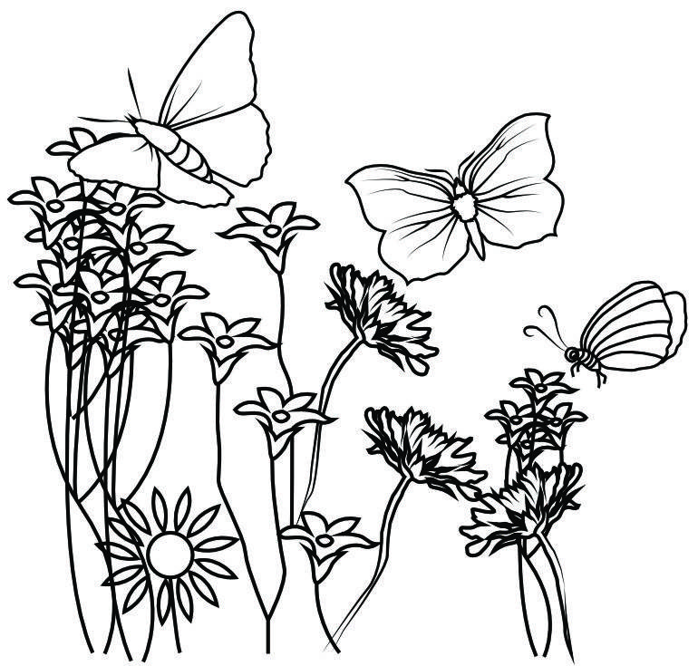 Malvorlagen Blumen und Schmetterling