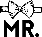 Mr. Fliege 2