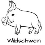 Brotzeitbrettchen Wildschwein Motiv