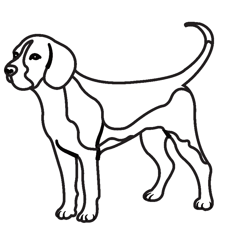 gratis Ausmalbilder Hunde - Beagle