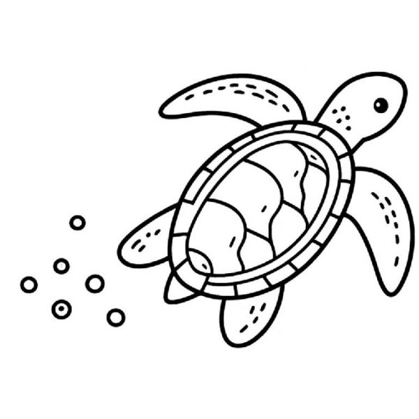 Ausmalbild Schildkröte zum Herunterladen und Ausdrucken